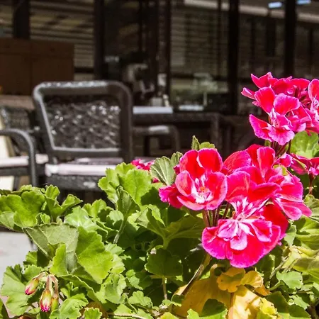Hotel Hill Stara Zagora