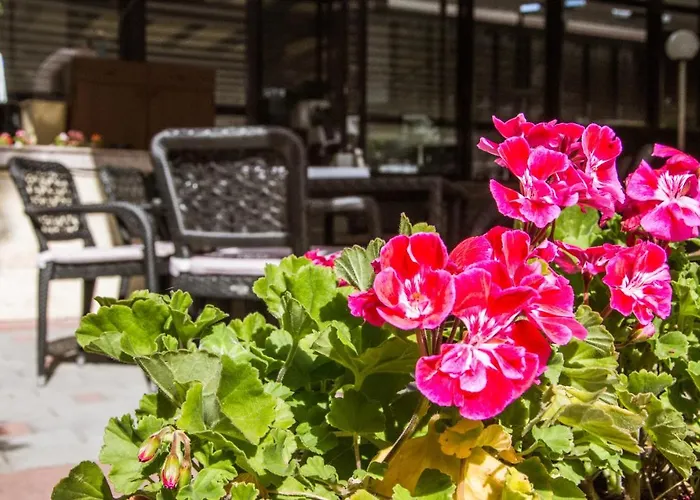 Отель Hill Стара-Загора